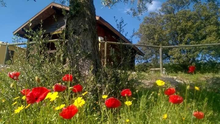 Tahal Casa La Colina Mandarina II Casa De Madera 빌라 외부 사진