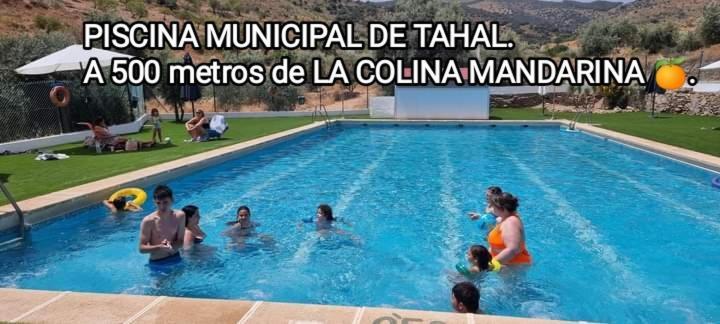 Tahal Casa La Colina Mandarina II Casa De Madera 빌라 외부 사진
