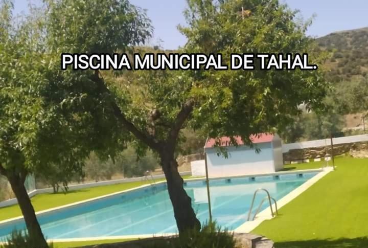 Tahal Casa La Colina Mandarina II Casa De Madera 빌라 외부 사진