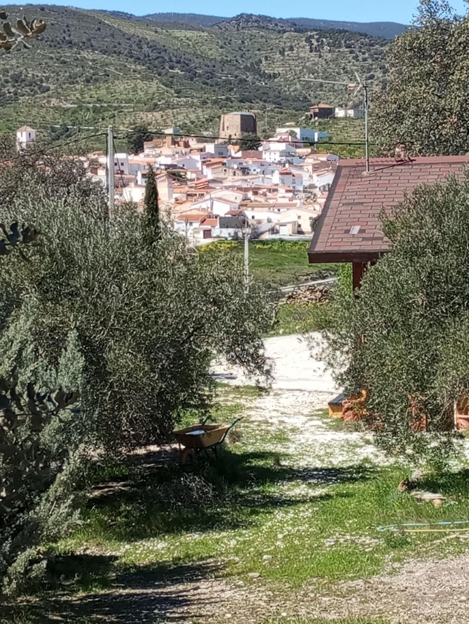 Tahal Casa La Colina Mandarina II Casa De Madera 빌라 외부 사진